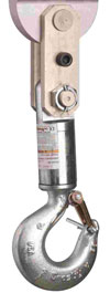 EDxtreme Crane Scales - Bearing Swivel Hook