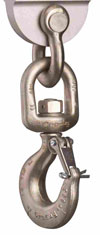 EDxtreme Crane Scales - Basic Swivel Hook